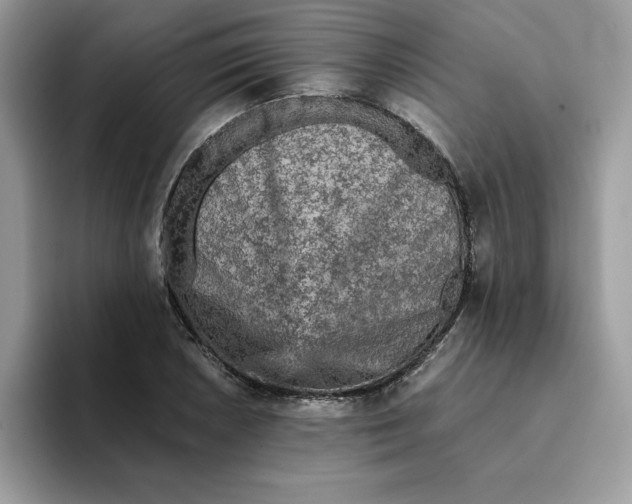 X0000093431026200711091432