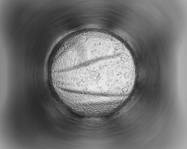 X0000093431027200711091432