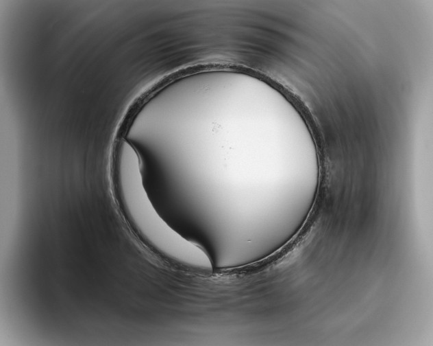 X0000093431029200711091432