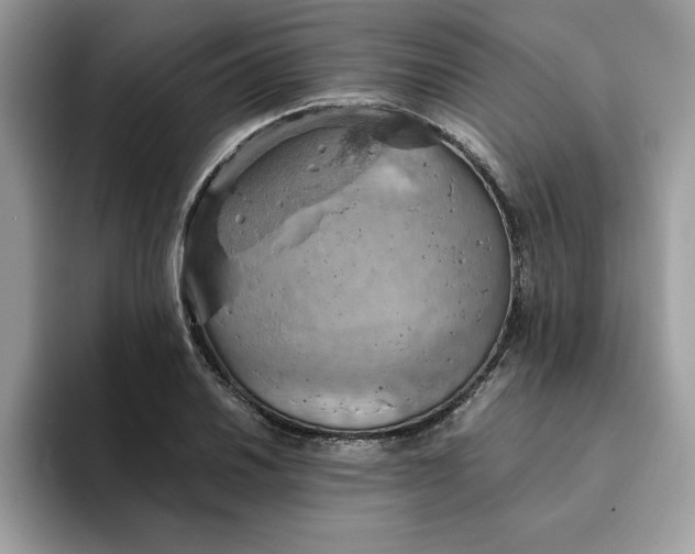 X0000093431030200711091432