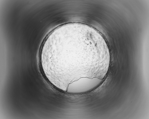 X0000093431032200711091432