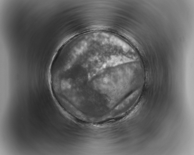 X0000093431034200711091432