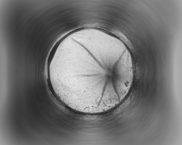 X0000093431036200711091432