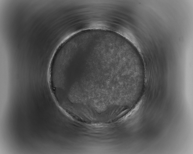 X0000093431037200711091432