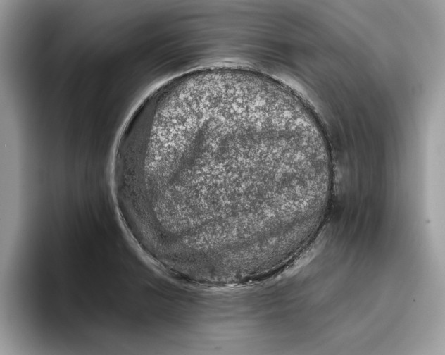X0000093431038200711091432