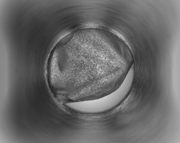 X0000093431042200711091432