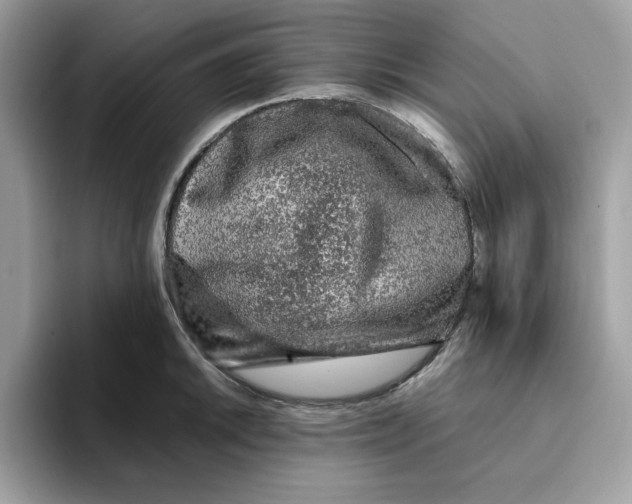 X0000093431046200711091432