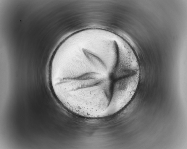 X0000093431048200711091432