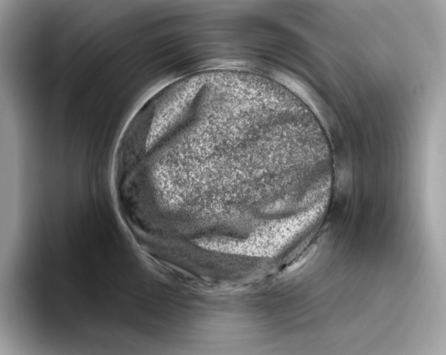X0000093431050200711091432