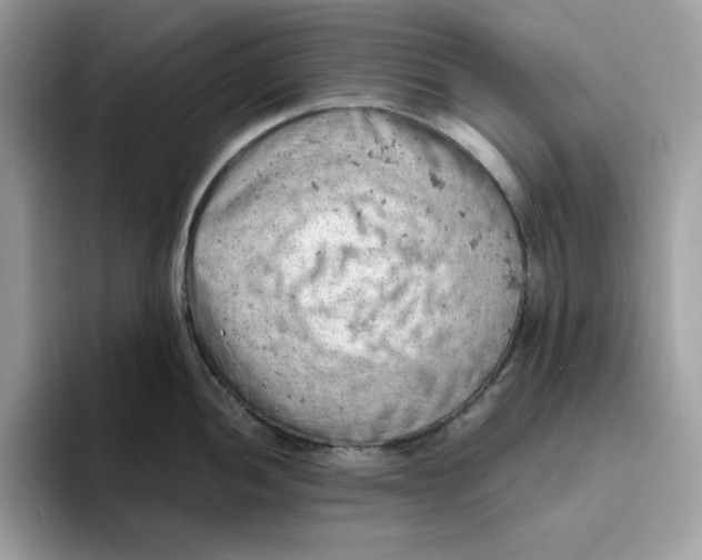 X0000093431052200711091432