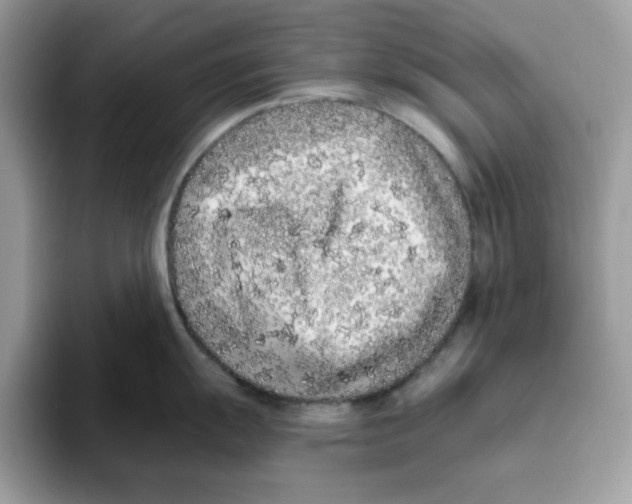 X0000093431055200711091432