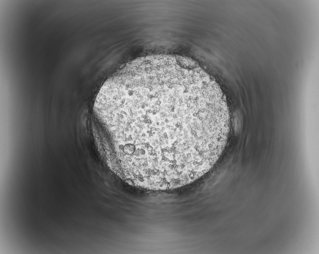 X0000093431059200711091431