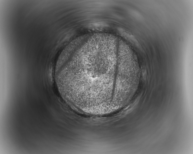 X0000093431060200711091431