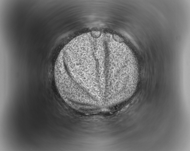 X0000093431063200711091431