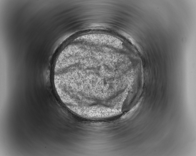 X0000093431066200711091431