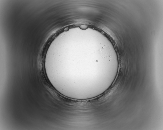 X0000093431067200711091431