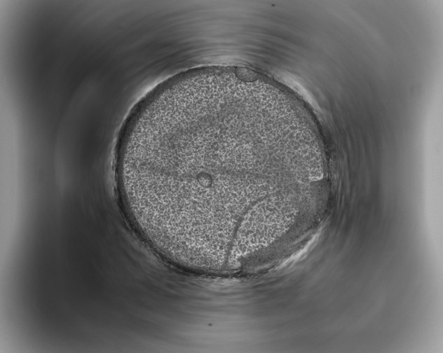 X0000093431071200711091431