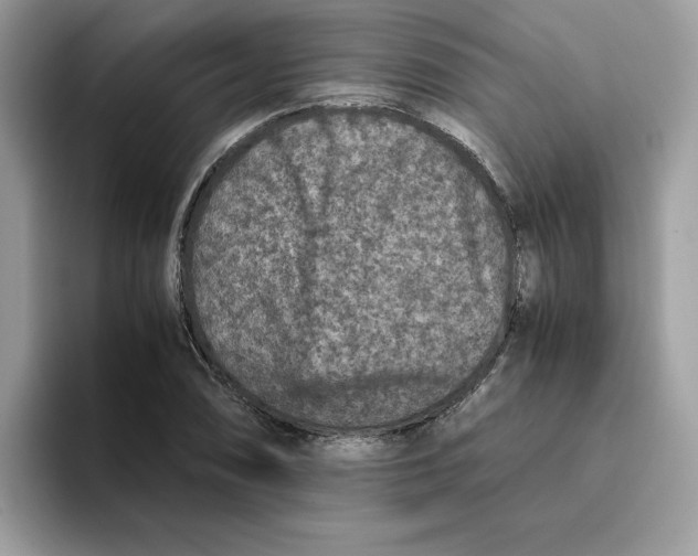 X0000093431074200711091431