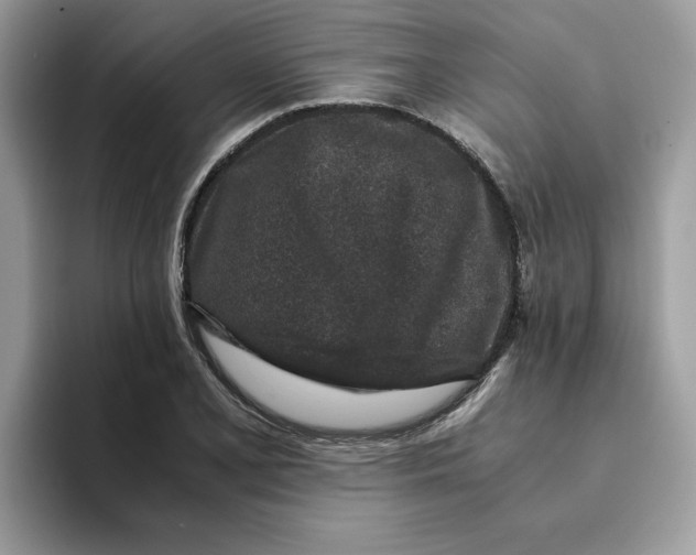X0000093431077200711091431