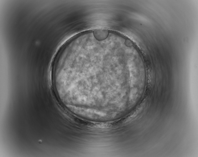 X0000093431078200711091431