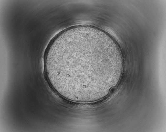 X0000093431079200711091431