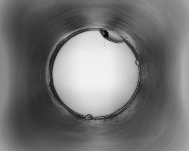 X0000093431080200711091431