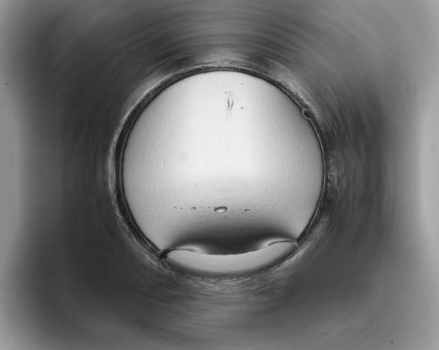 X0000093431082200711091431