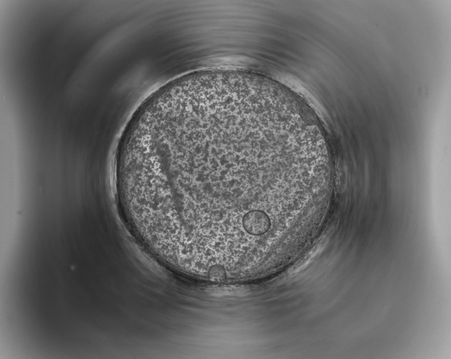 X0000093431083200711091431