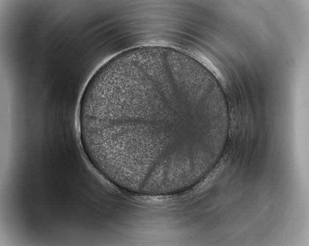 X0000093431084200711091431