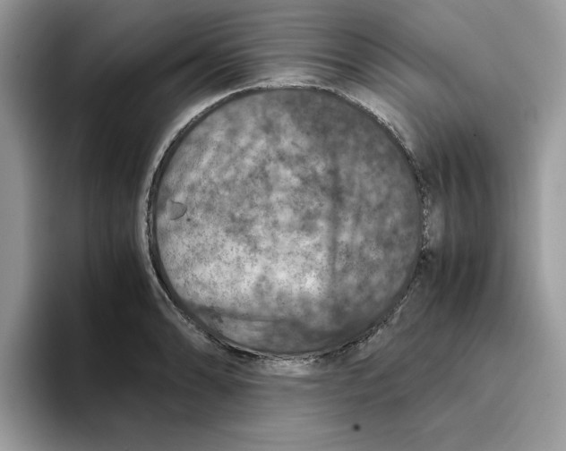 X0000093431086200711091431