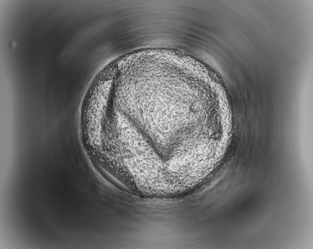 X0000093431087200711091431