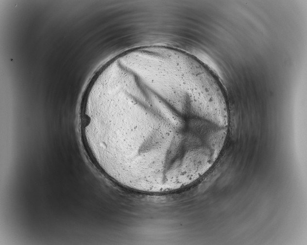 X0000093431088200711091431