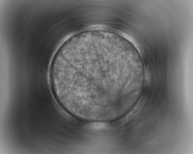 X0000093431090200711091431