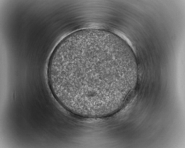X0000093431091200711091431