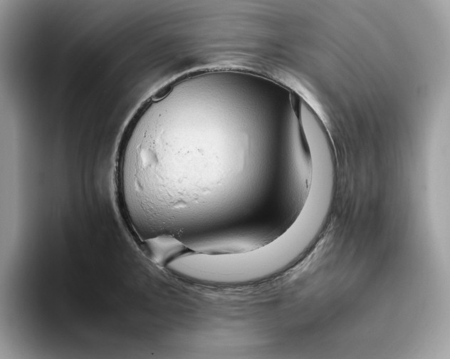 X0000093431093200711091431