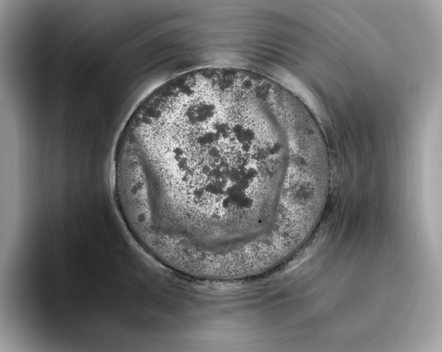 X0000093431095200711091431