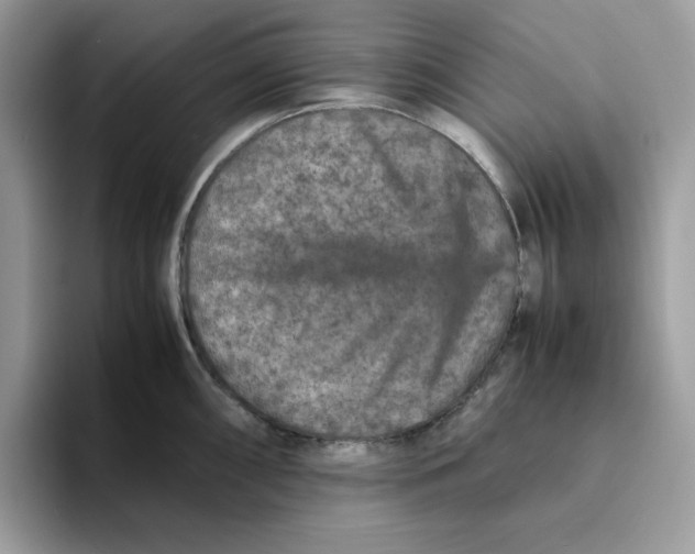 X0000093431098200711091431