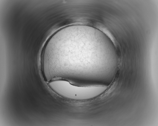 X0000093431099200711091431