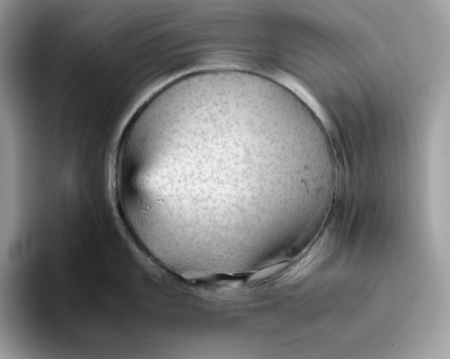 X0000093431101200711091431