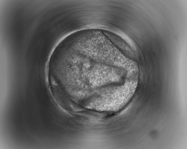 X0000093431102200711091431