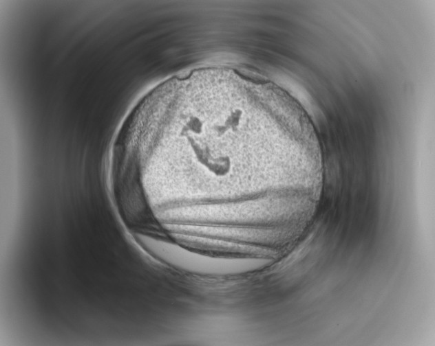 X0000093431103200711091431