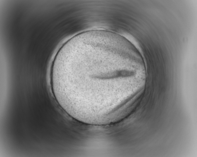 X0000093431104200711091431