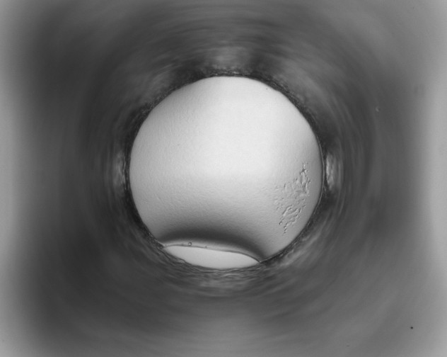 X0000093431107200711091430