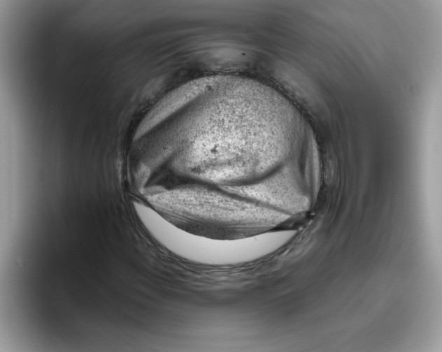 X0000093431108200711091430