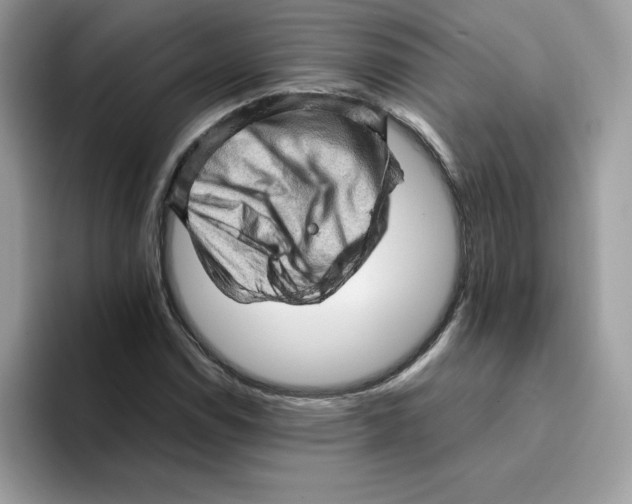 X0000093431114200711091431