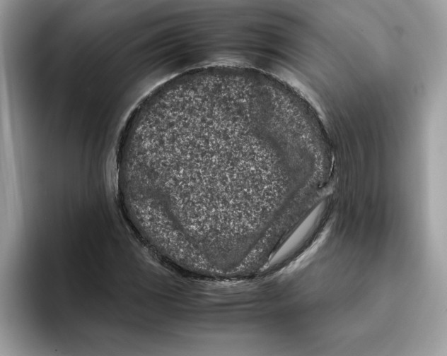 X0000093431117200711091431