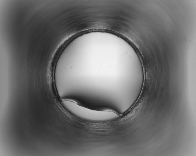 X0000093431119200711091431