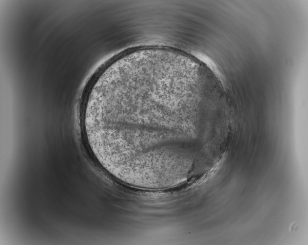 X0000093431120200711091431
