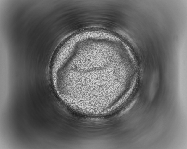 X0000093431121200711091431