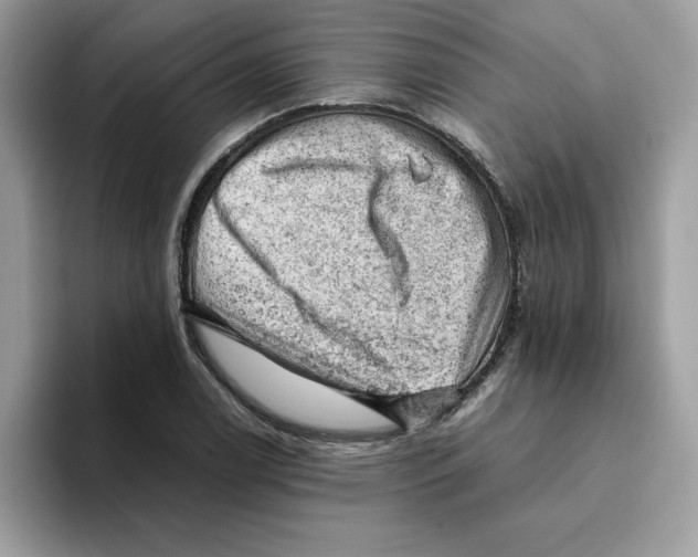 X0000093431122200711091431